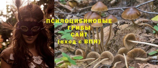 гашишное масло Абаза