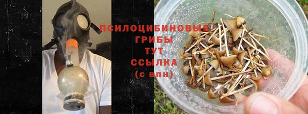 герыч Алексин