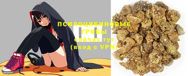 круглые Алексеевка