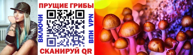 Псилоцибиновые грибы Magic Shrooms  Мамадыш 